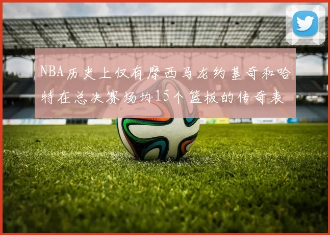 NBA历史上仅有摩西马龙约基奇和哈特在总决赛场均15个篮板的传奇表现