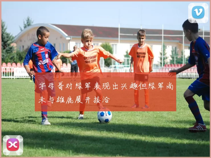 字母哥对绿军表现出兴趣但绿军尚未与雄鹿展开接洽
