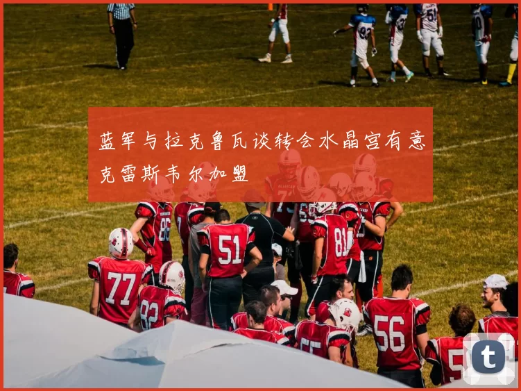 蓝军与拉克鲁瓦谈转会水晶宫有意克雷斯韦尔加盟
